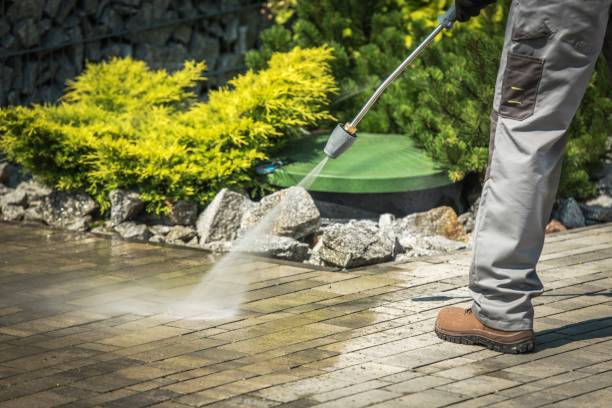 Best Fence Cleaning  in Tatum, TX