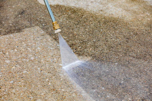 Best Driveway Pressure Washing  in Tatum, TX